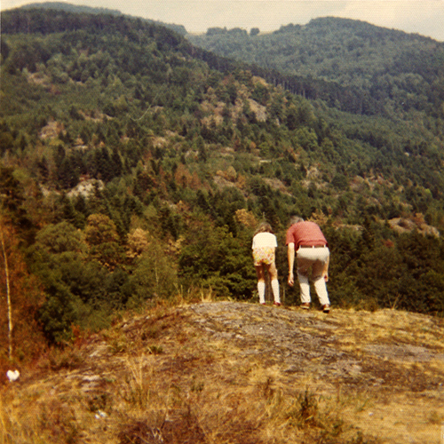 Vosges mountains