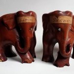 Indian cricket elephatns