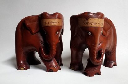 Indian cricket elephatns